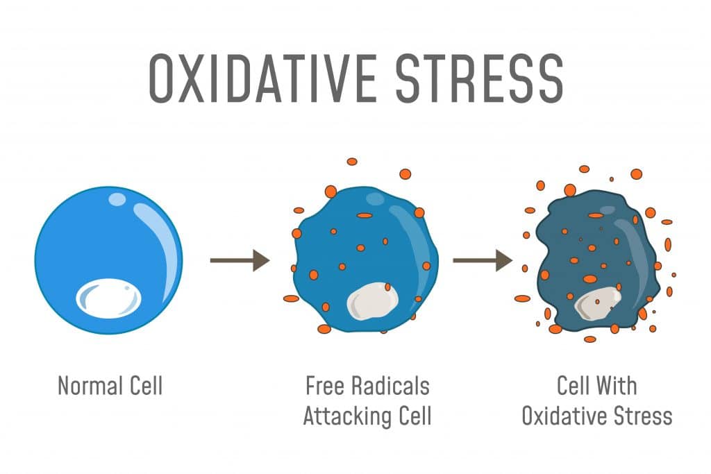 oxidative-stress-from-heavy-metals