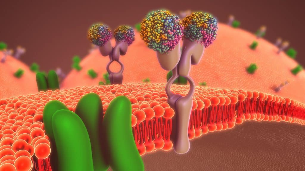 healthy cell membrane