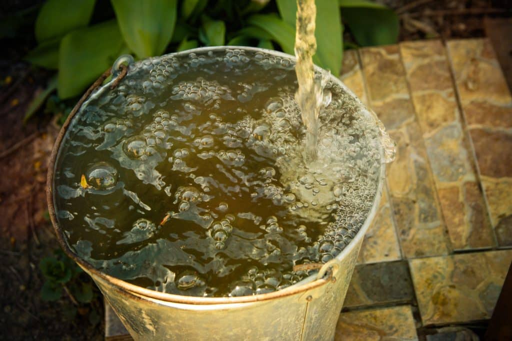 overflowing bucket causes autoimmune conditions