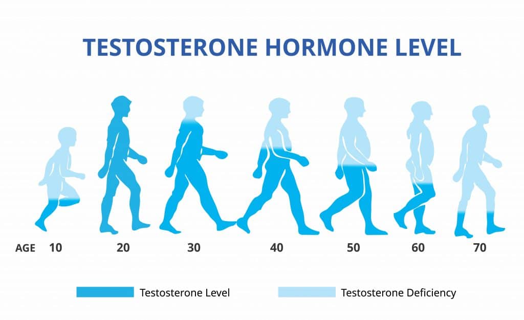 low testosterone makes it hard to lose fat