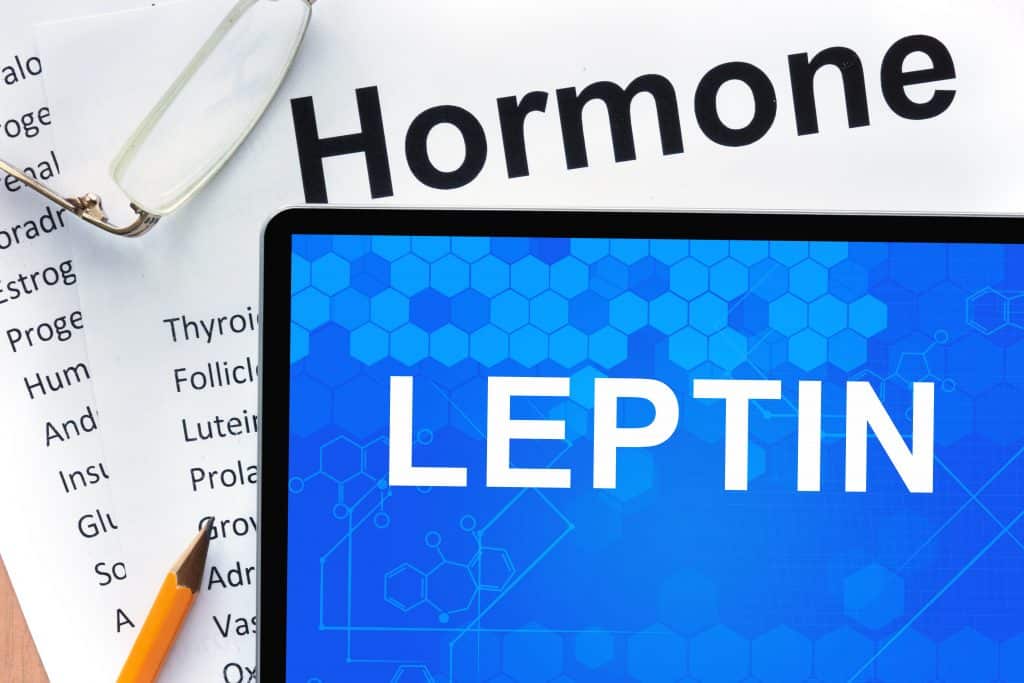 Leptin Resistance Leads To The Inability To Lose Fat