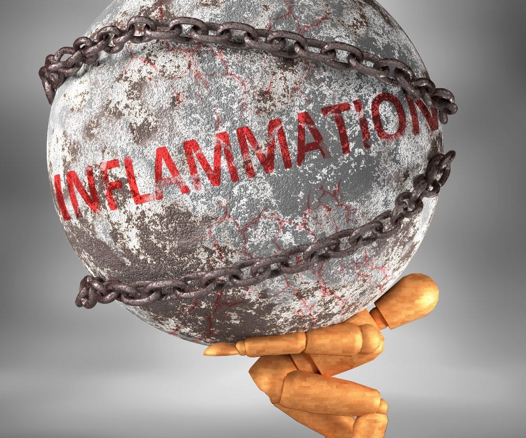 stopping inflammation and reversing diabetes
