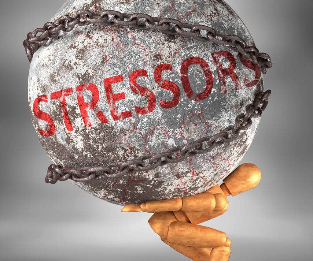 Stressors are what causes irritable bowel syndrome