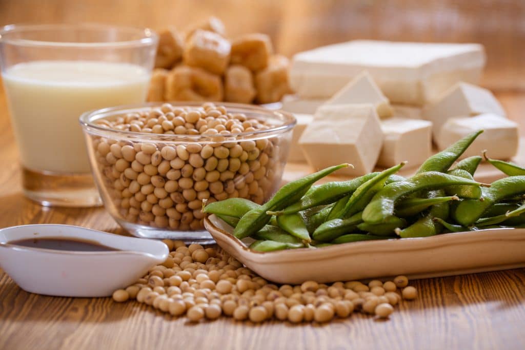What Causes High Estrogen Levels - Soy