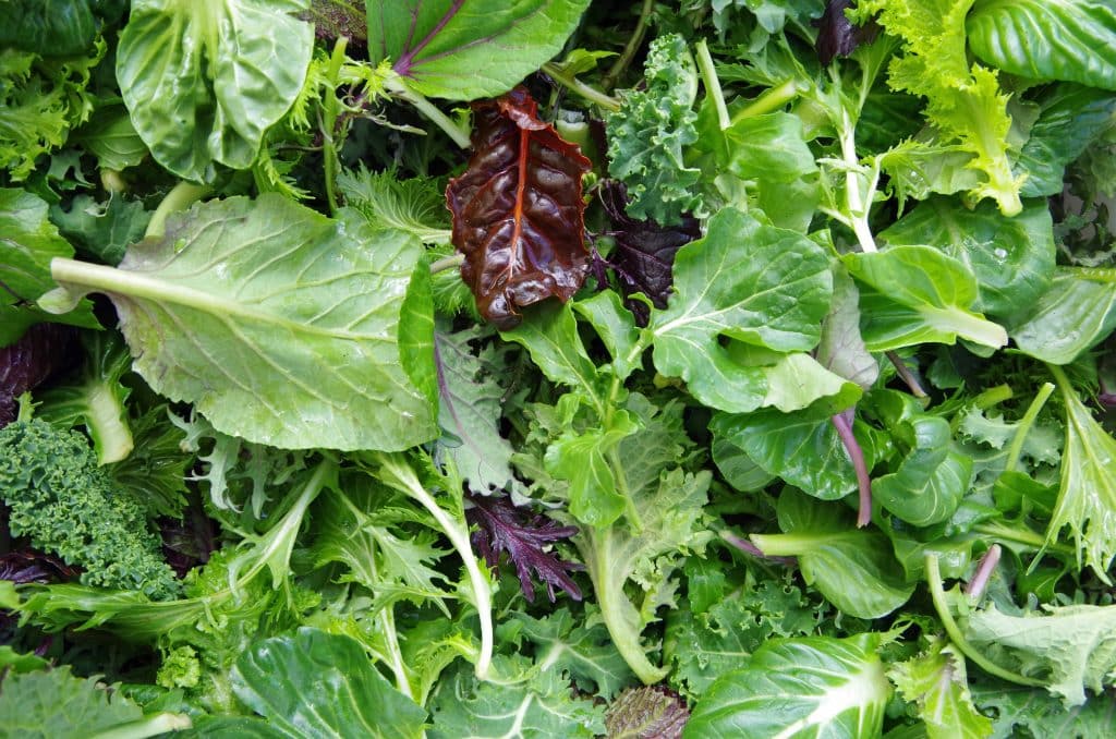 A Healthy Diet - Organic Leafy Greens