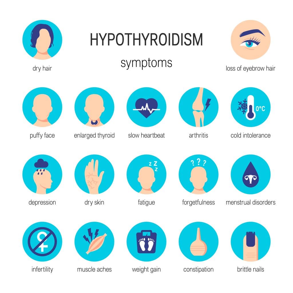 What Causes Hashimoto’s Thyroiditis