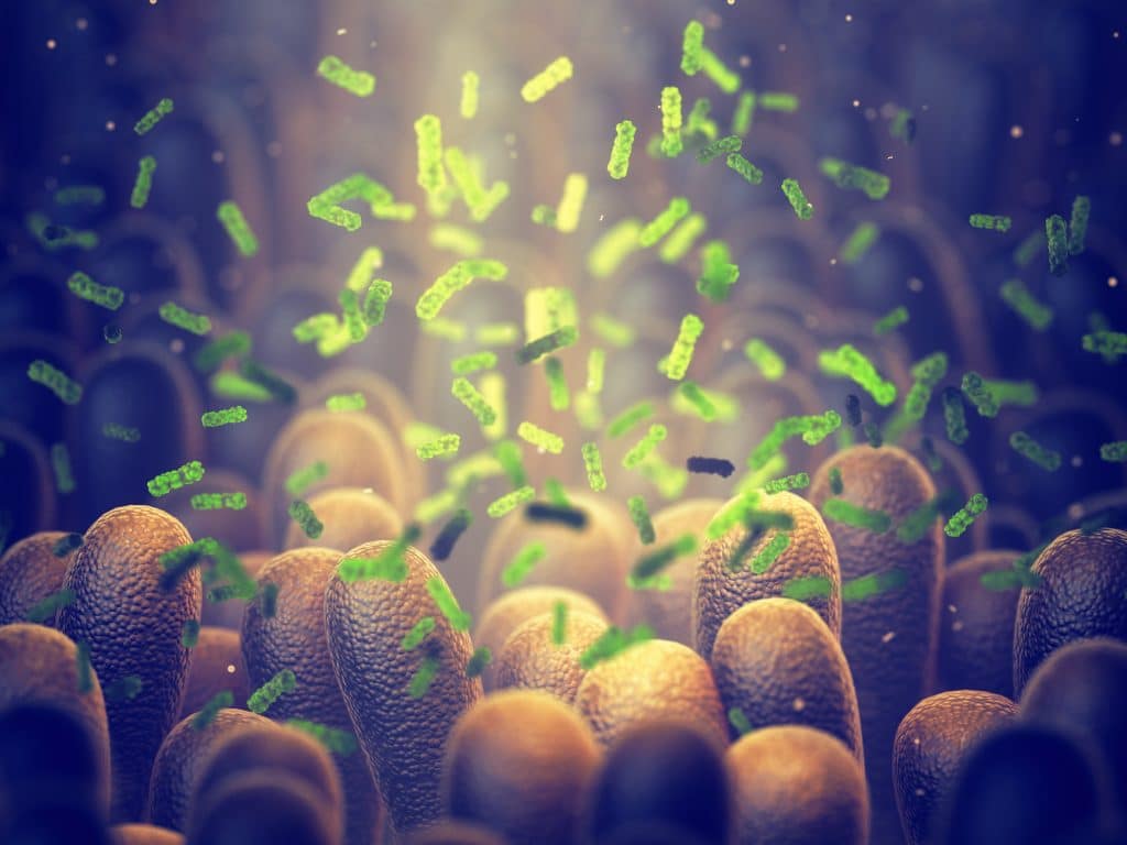 Myasthenia Gravis And The Microbiome