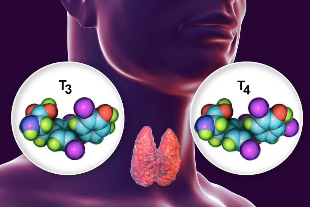 What Causes Thyroid Problems - Autoimmune Diseases