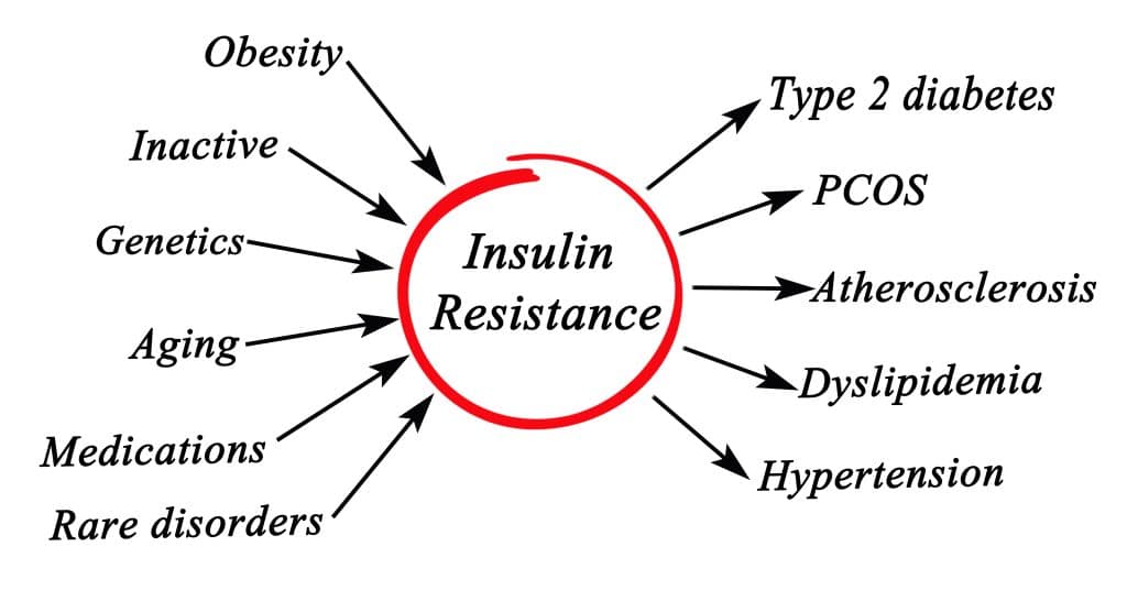 Reversing Insulin Resistance