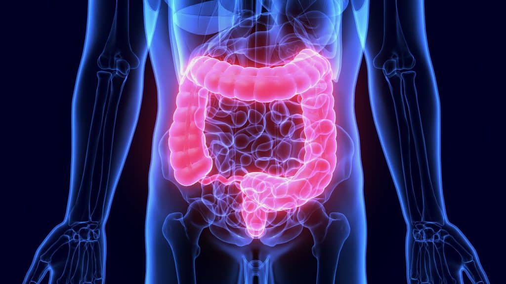 Gut Health And Disease Prevention - Improving The Microbiome