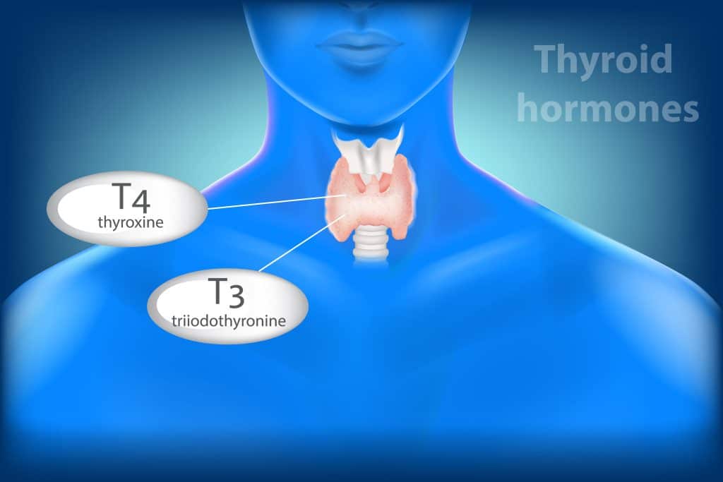 What Causes Thyroid Disease
