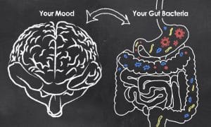 The Link Between Gut Health And Mental Health Disorders
