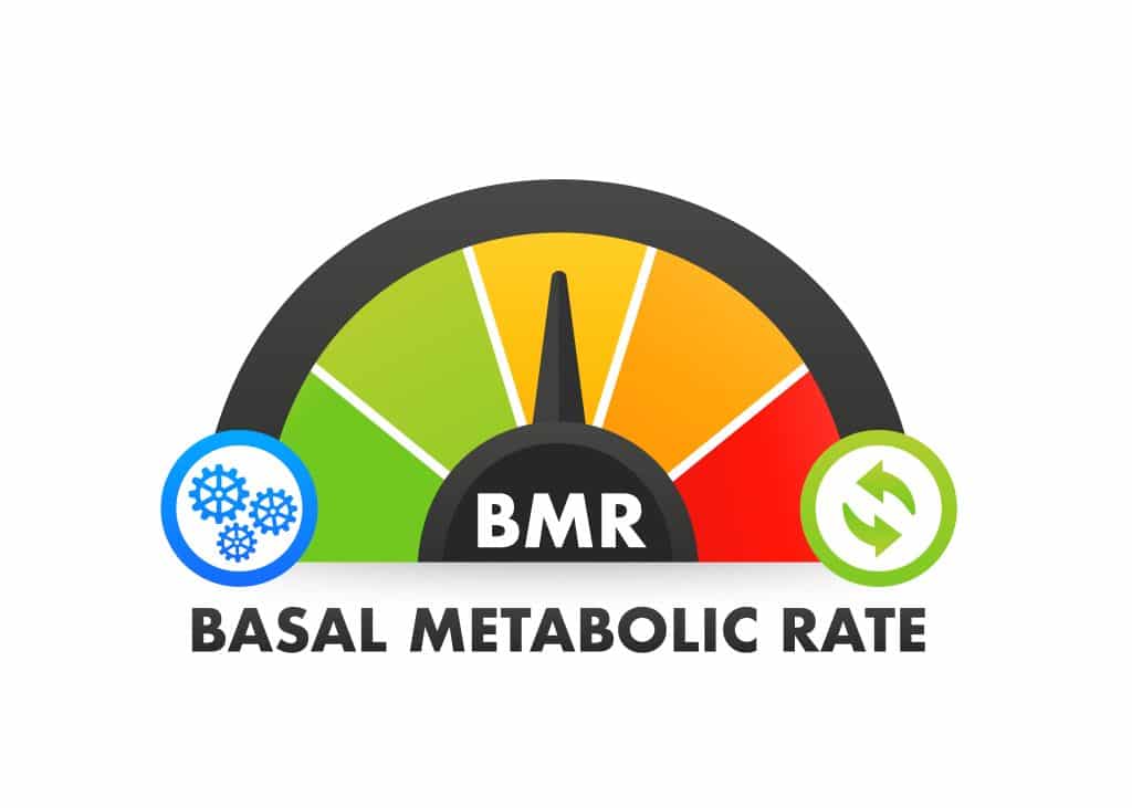 How To Lose Weight With Intermittent Fasting While Maintaining BMR