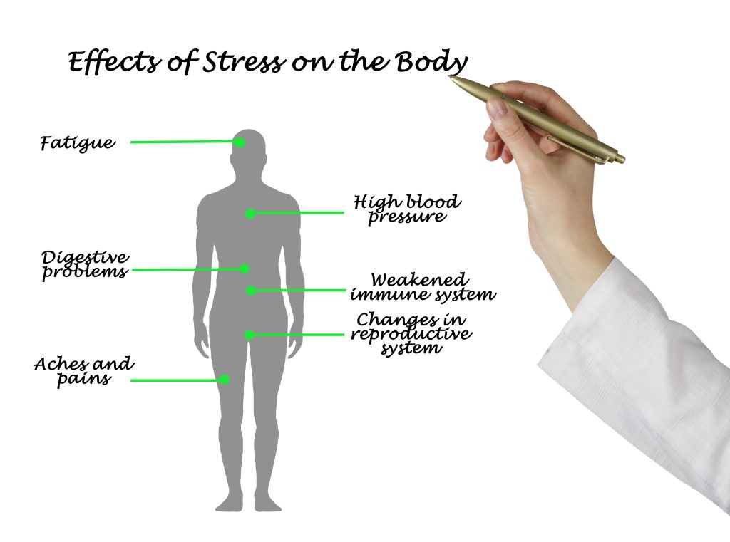How Does Stress Cause Disease - Immune System Dysfunction