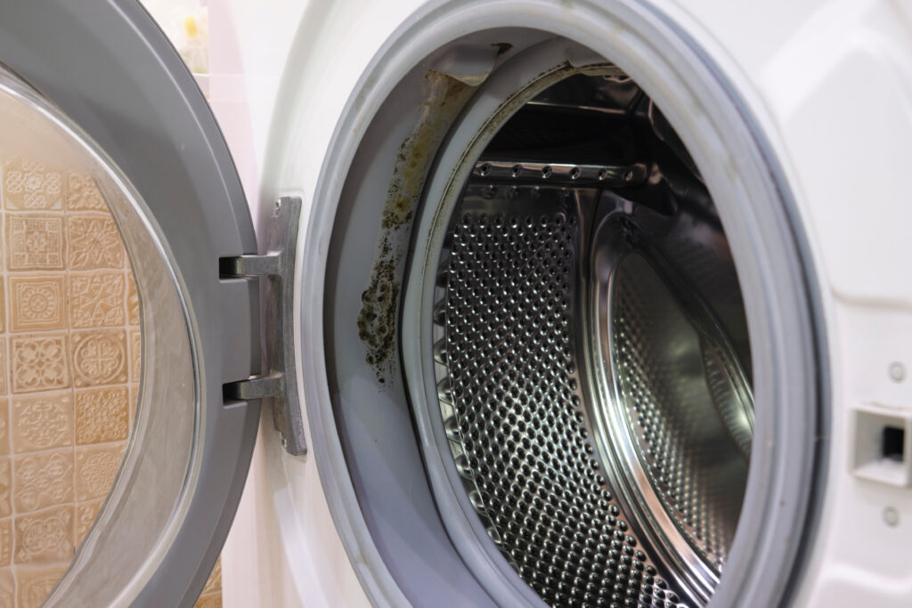 The Dangers Of Mold Growth In The Washing Machine