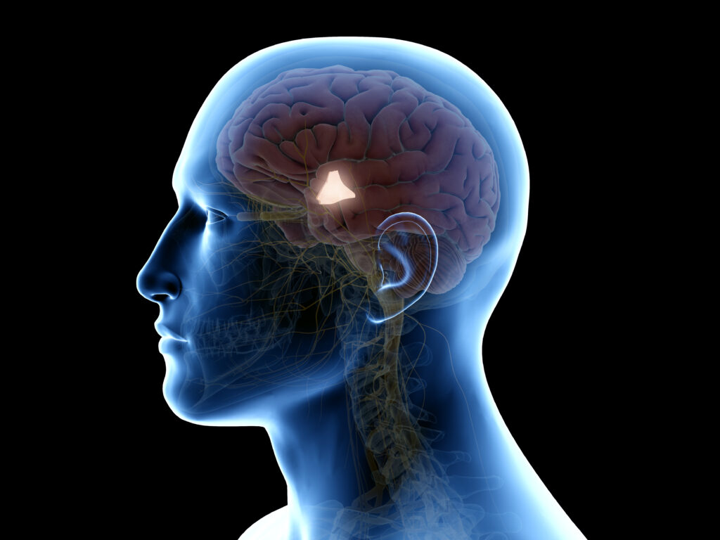 What Is Driving The Increase In Thyroid Conditions - Heavy Metals