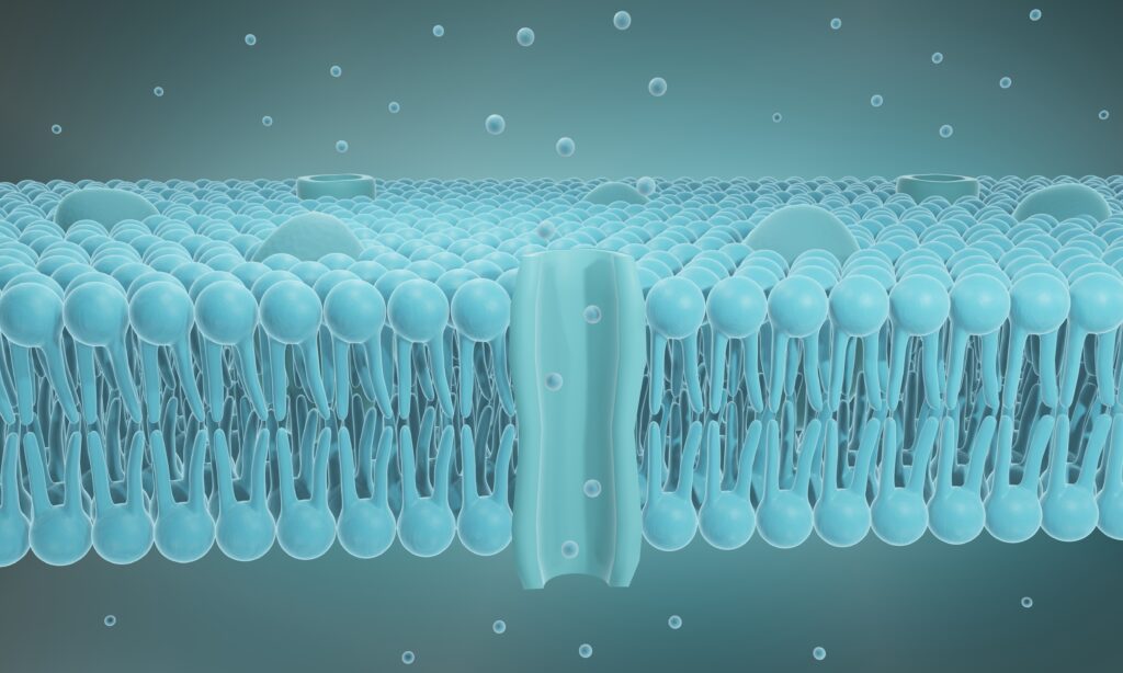What Is Causing Mysterious Health Issues - cellular membrane inflammation