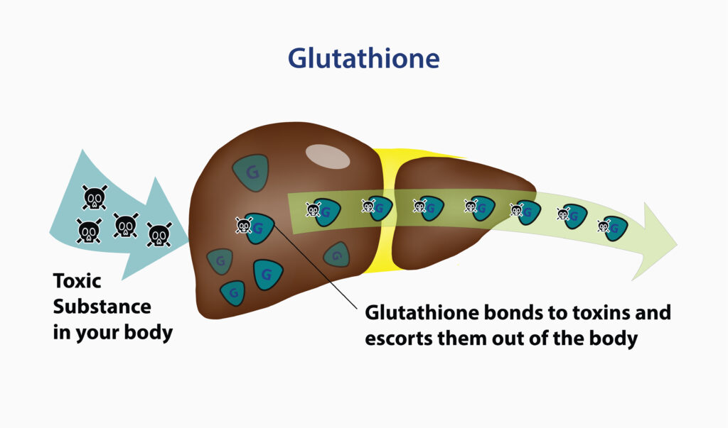 glutathione and atp