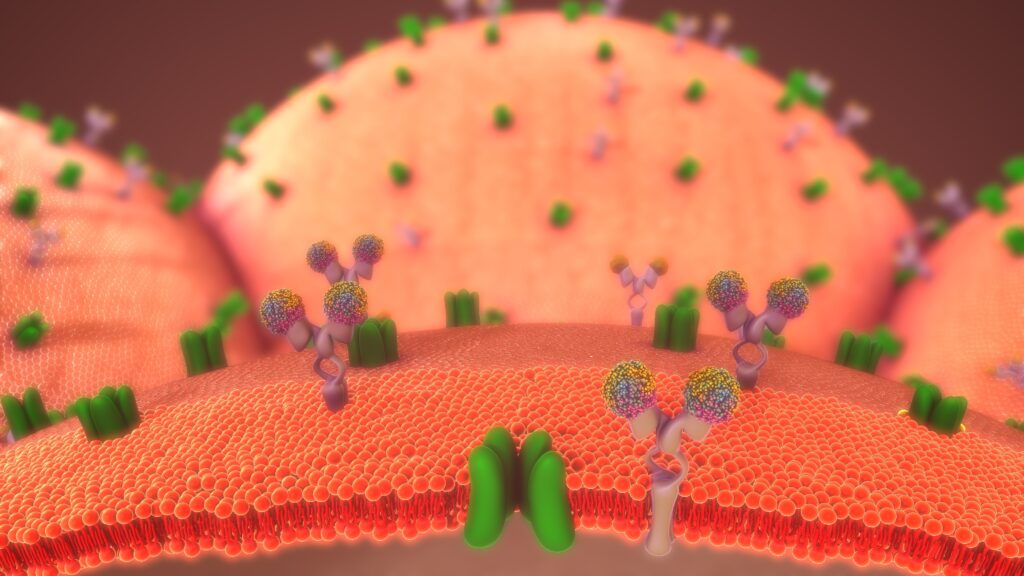 Regenerating The Cellular Membrane